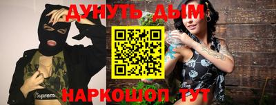 гашик Дмитров