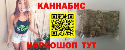 гашик Дмитров